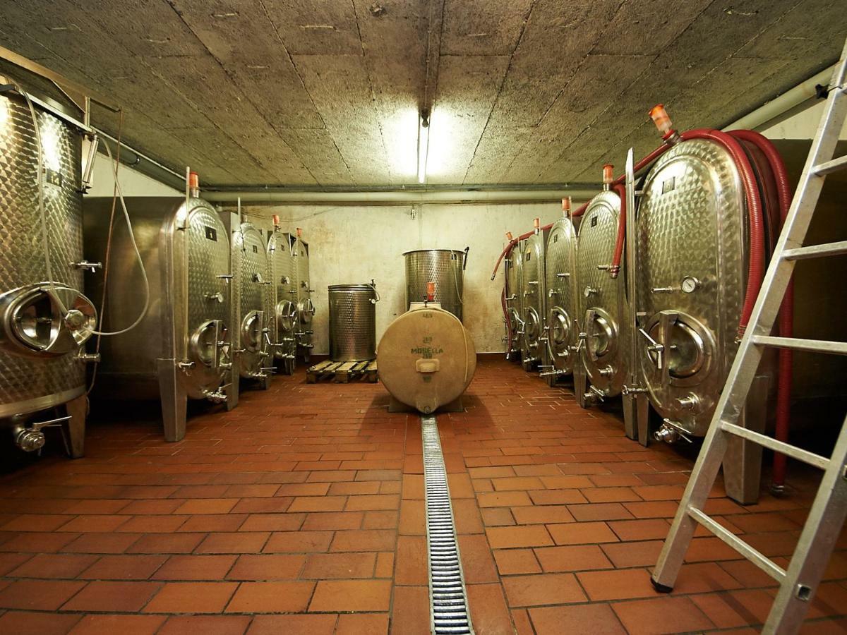 Ferienwohnung-Vinothek Keifer Kinheim Buitenkant foto