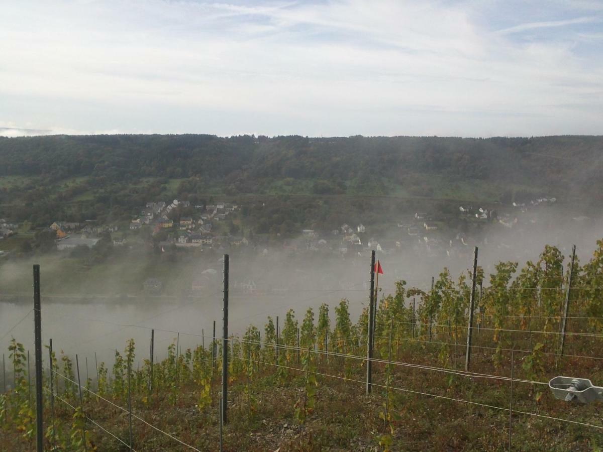 Ferienwohnung-Vinothek Keifer Kinheim Buitenkant foto