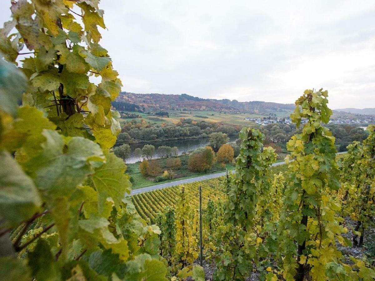 Ferienwohnung-Vinothek Keifer Kinheim Buitenkant foto